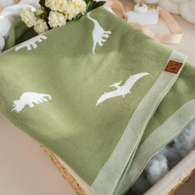 Dinosaur Jacquard Knit Baby Blanket