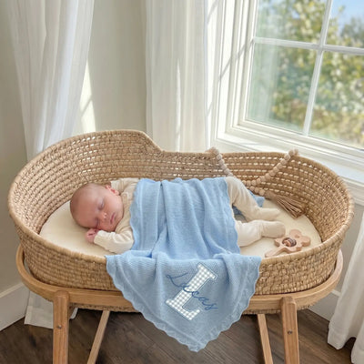 Embroidered Applique Blue Baby Blanket