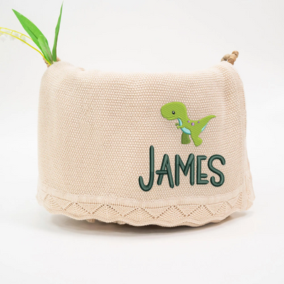 Personalized Dinosaur Embroidery Baby Blanket