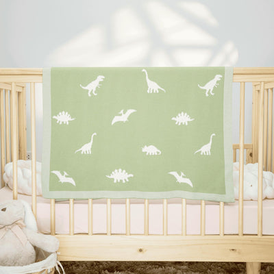 Dinosaur Jacquard Baby Blanket