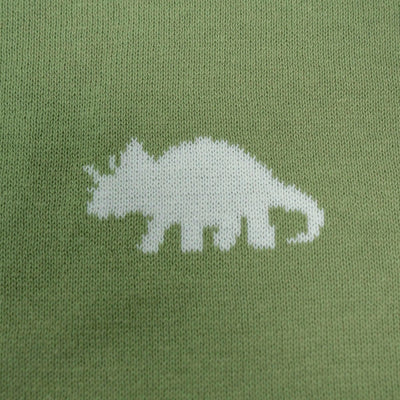 Dinosaur Jacquard Knit Baby Blanket