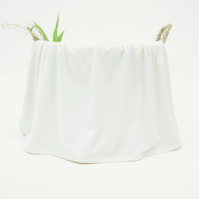 Bamboo Swaddle Blankets | Mint