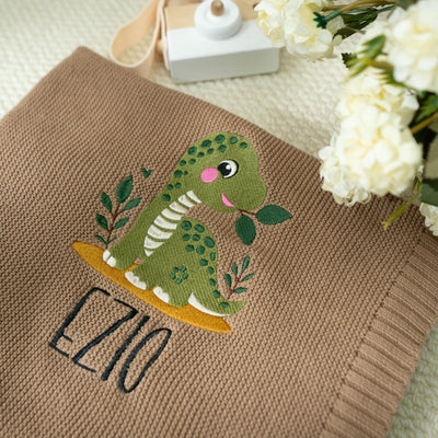 personalized Cute Dinosaur Embroidery Baby Blanket 2